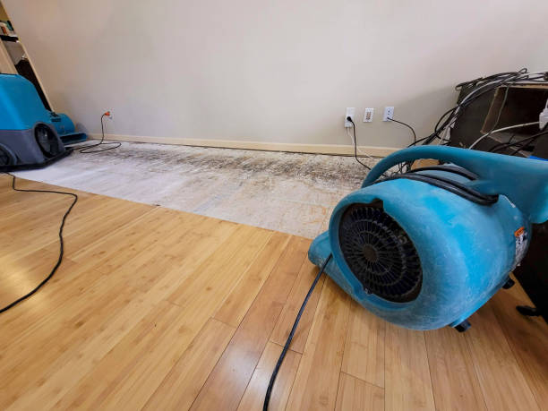 Professional Flood Damage Cleanup technician working in McDermott, OH